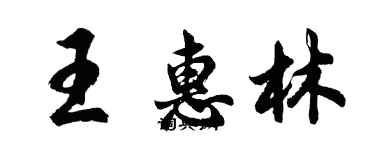 胡問遂王惠林行書個性簽名怎么寫