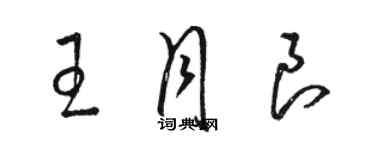 駱恆光王月良草書個性簽名怎么寫