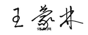 駱恆光王蒙林草書個性簽名怎么寫