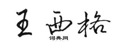 駱恆光王西格行書個性簽名怎么寫