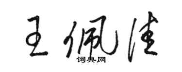 駱恆光王佩佳草書個性簽名怎么寫