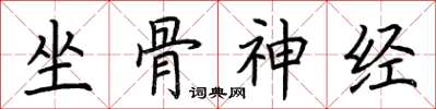 荊霄鵬坐骨神經楷書怎么寫