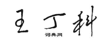 駱恆光王丁科草書個性簽名怎么寫