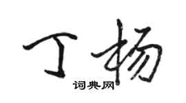 駱恆光丁楊行書個性簽名怎么寫