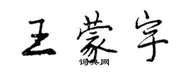 曾慶福王蒙宇行書個性簽名怎么寫