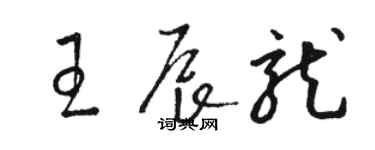 駱恆光王辰龍草書個性簽名怎么寫