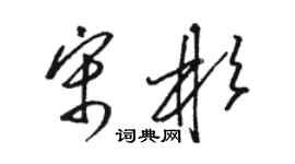 駱恆光宋彬草書個性簽名怎么寫