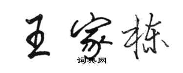 駱恆光王家棟行書個性簽名怎么寫