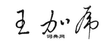 駱恆光王加虎草書個性簽名怎么寫