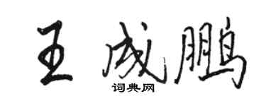 駱恆光王成鵬行書個性簽名怎么寫