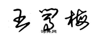 朱錫榮王闖梅草書個性簽名怎么寫