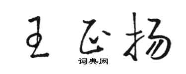 駱恆光王正揚草書個性簽名怎么寫