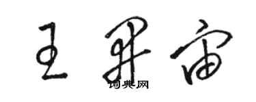 駱恆光王開宙草書個性簽名怎么寫