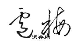 駱恆光盧梅草書個性簽名怎么寫