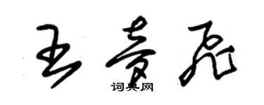 朱錫榮王夢飛草書個性簽名怎么寫