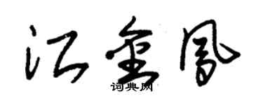 朱錫榮江金鳳草書個性簽名怎么寫