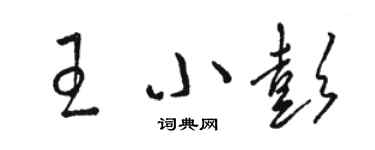 駱恆光王小彭草書個性簽名怎么寫