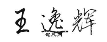 駱恆光王逸輝行書個性簽名怎么寫