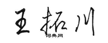 駱恆光王拓川行書個性簽名怎么寫