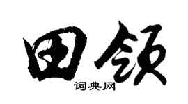 胡問遂田領行書個性簽名怎么寫