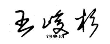 朱錫榮王峻杉草書個性簽名怎么寫