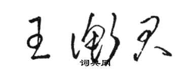 駱恆光王衡君草書個性簽名怎么寫