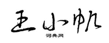 曾慶福王小帆草書個性簽名怎么寫