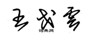 朱錫榮王戈雲草書個性簽名怎么寫