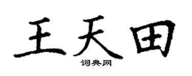 丁謙王天田楷書個性簽名怎么寫