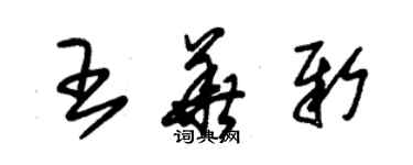 朱錫榮王華新草書個性簽名怎么寫