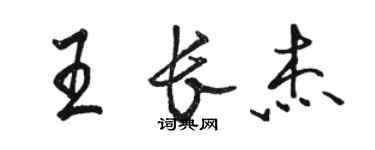 駱恆光王長傑行書個性簽名怎么寫
