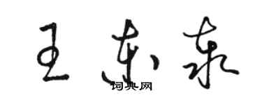 駱恆光王東泰草書個性簽名怎么寫