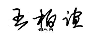 朱錫榮王柏誼草書個性簽名怎么寫