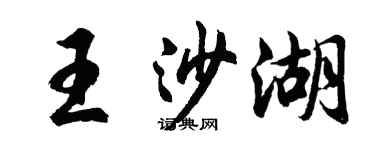 胡問遂王沙湖行書個性簽名怎么寫