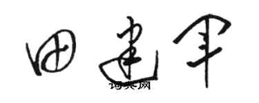 駱恆光田建軍草書個性簽名怎么寫