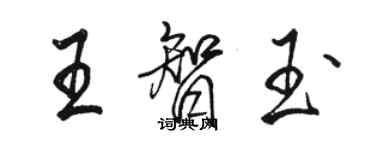 駱恆光王智玉行書個性簽名怎么寫