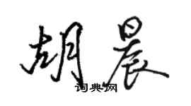 駱恆光胡晨行書個性簽名怎么寫