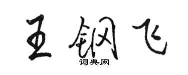 駱恆光王鋼飛行書個性簽名怎么寫