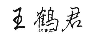 駱恆光王鶴君行書個性簽名怎么寫