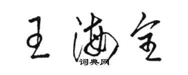 駱恆光王海全草書個性簽名怎么寫