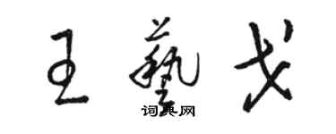 駱恆光王藝戈草書個性簽名怎么寫