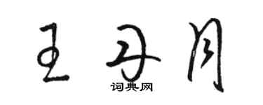 駱恆光王丹月草書個性簽名怎么寫