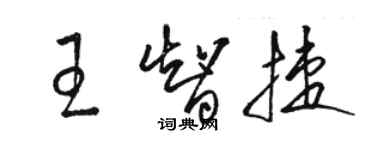 駱恆光王智捷草書個性簽名怎么寫