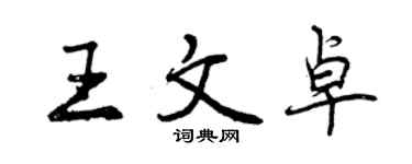 曾慶福王文卓行書個性簽名怎么寫