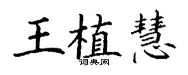 丁謙王植慧楷書個性簽名怎么寫