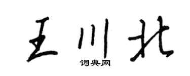 王正良王川北行書個性簽名怎么寫