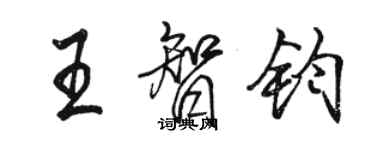 駱恆光王智鈞行書個性簽名怎么寫