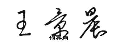 駱恆光王景晨草書個性簽名怎么寫