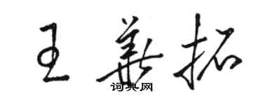 駱恆光王華拓草書個性簽名怎么寫