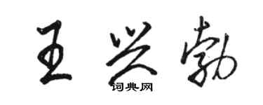 駱恆光王興勃行書個性簽名怎么寫